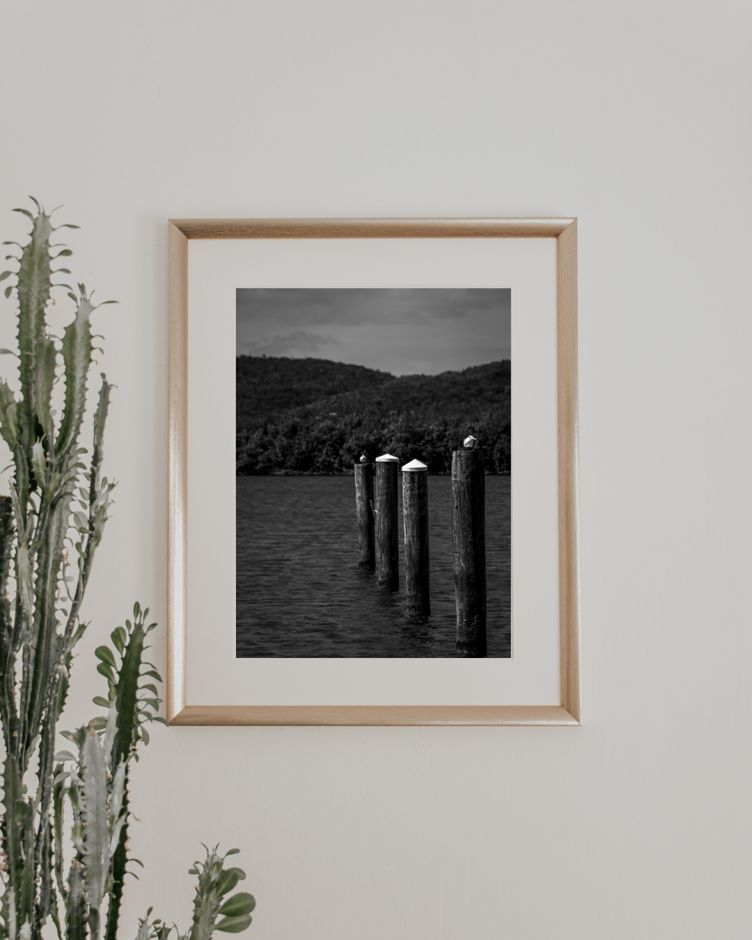 Ave Charrán Real Black & White Photography Print 5x7