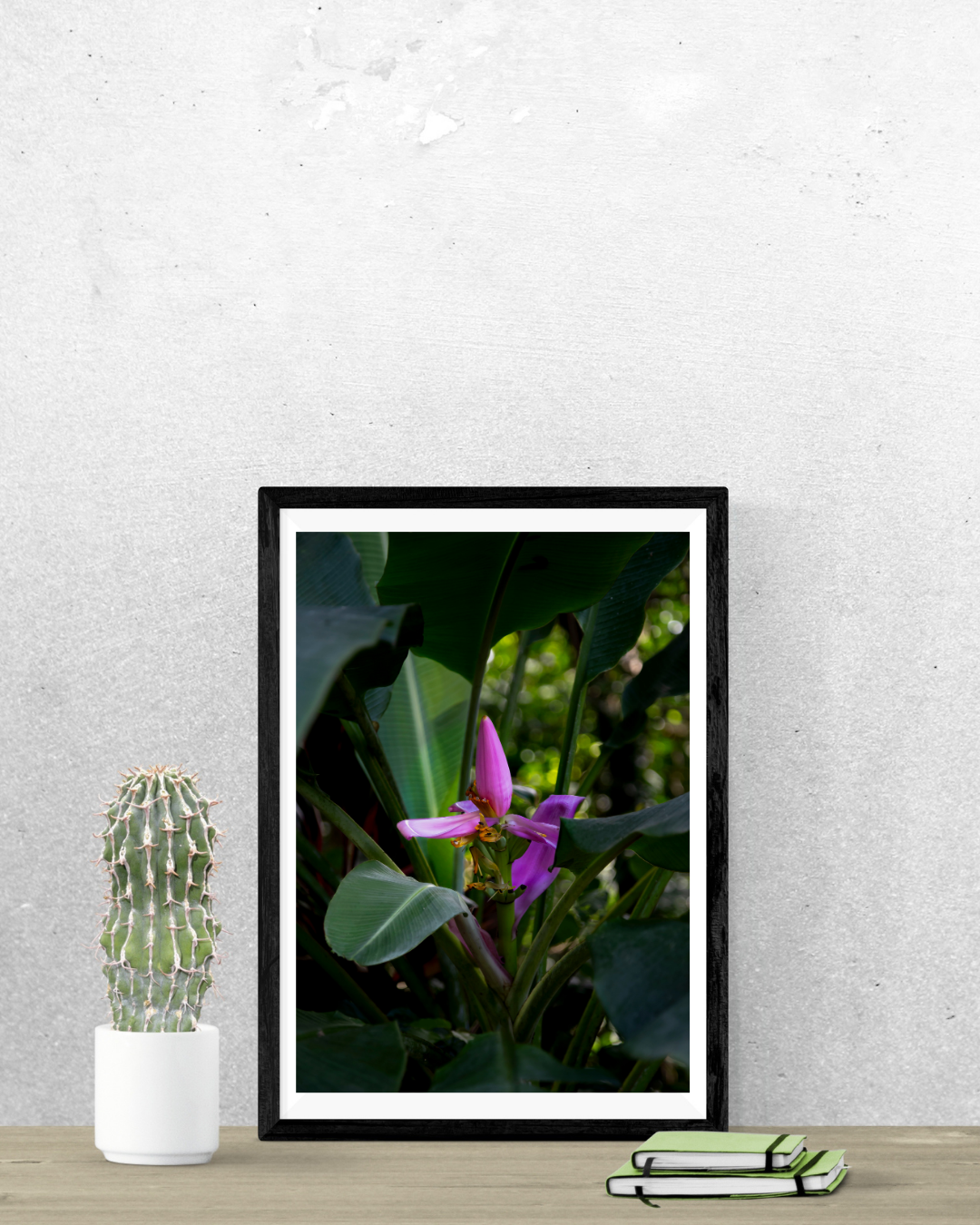 Platano Ornamental Photography Print 5x7