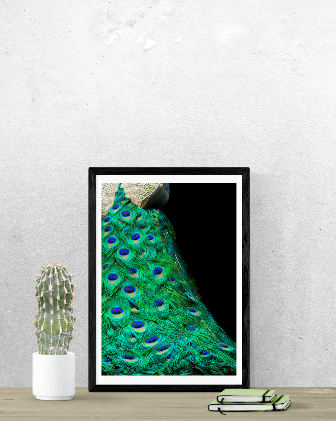 Cola de Pavo Real Photography Print 5x7