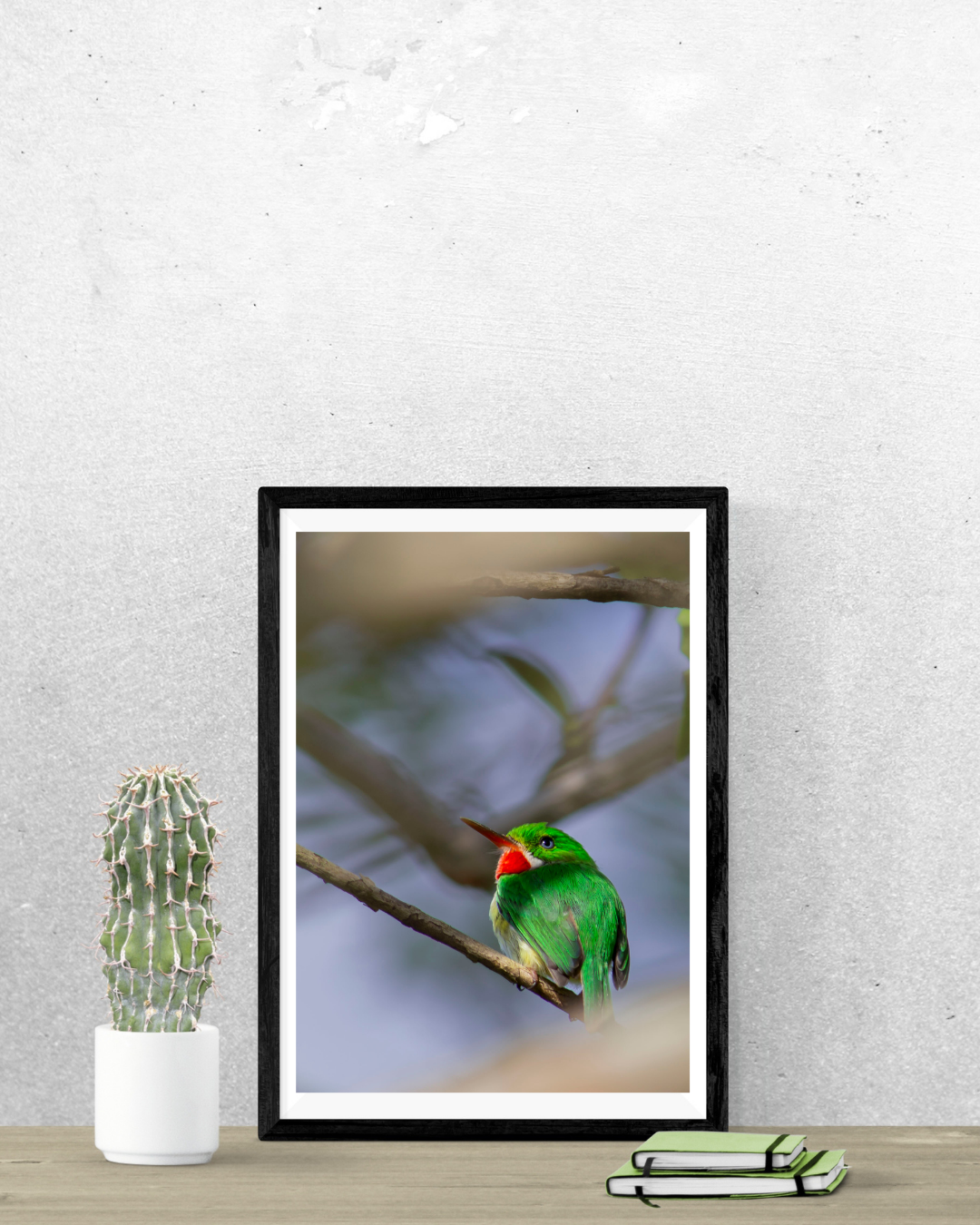 San Pedrito Photography Print 5x7