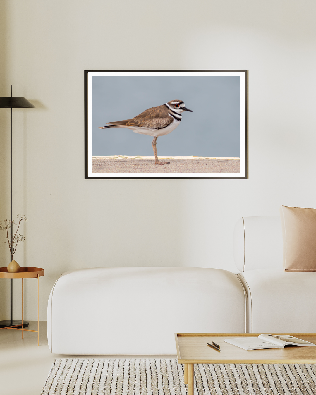 Ave Chorlito Sabanero Photography Print 5x7