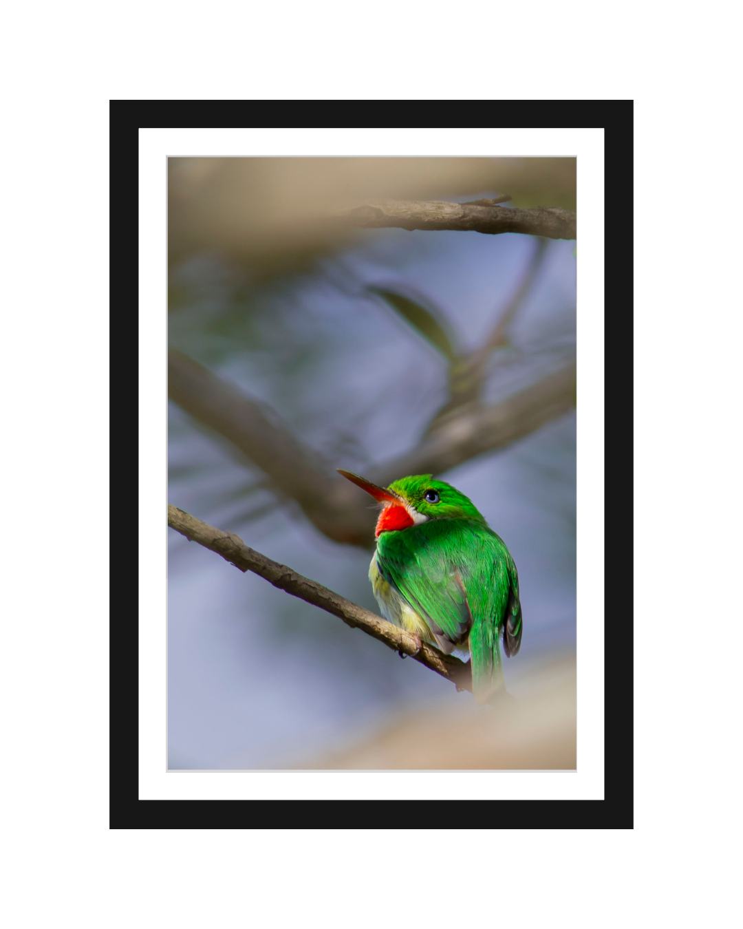 San Pedrito Photography Print 5x7