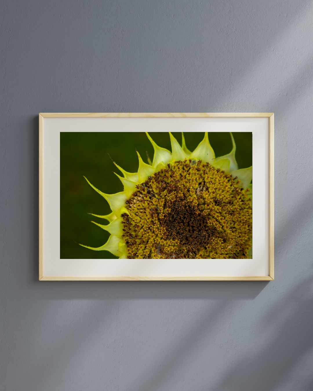 Girasol Print 5x7