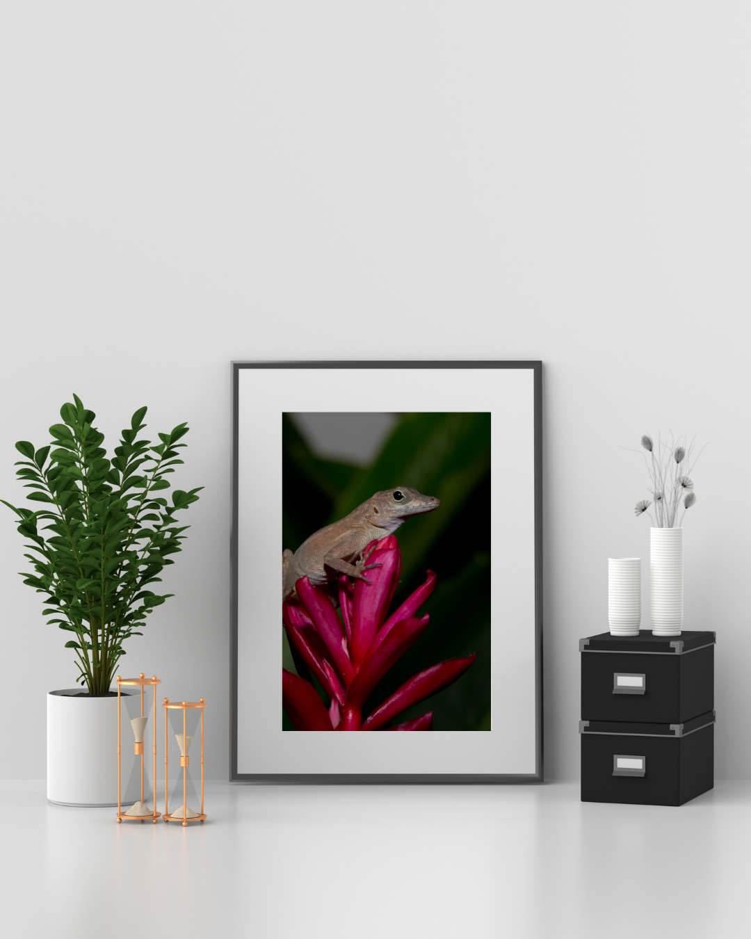 Lagartijo Anolis Print 5x7