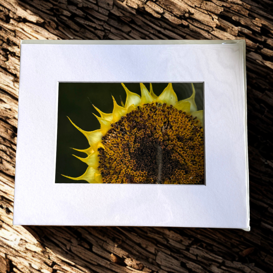Girasol Print 5x7
