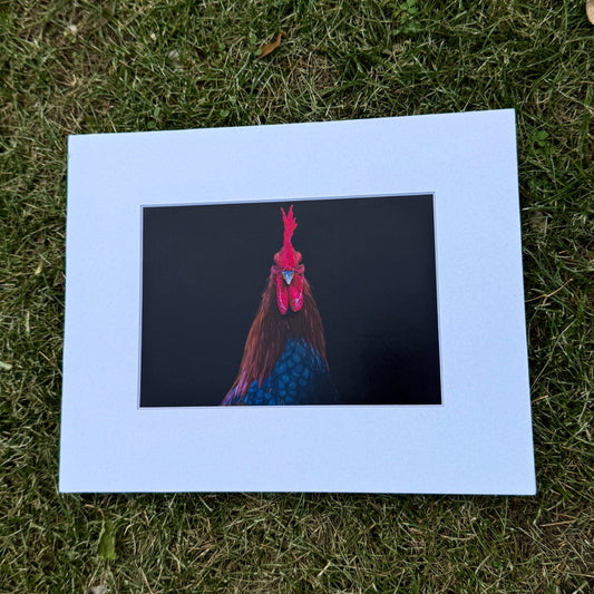 Framed picture of a rooster on grass