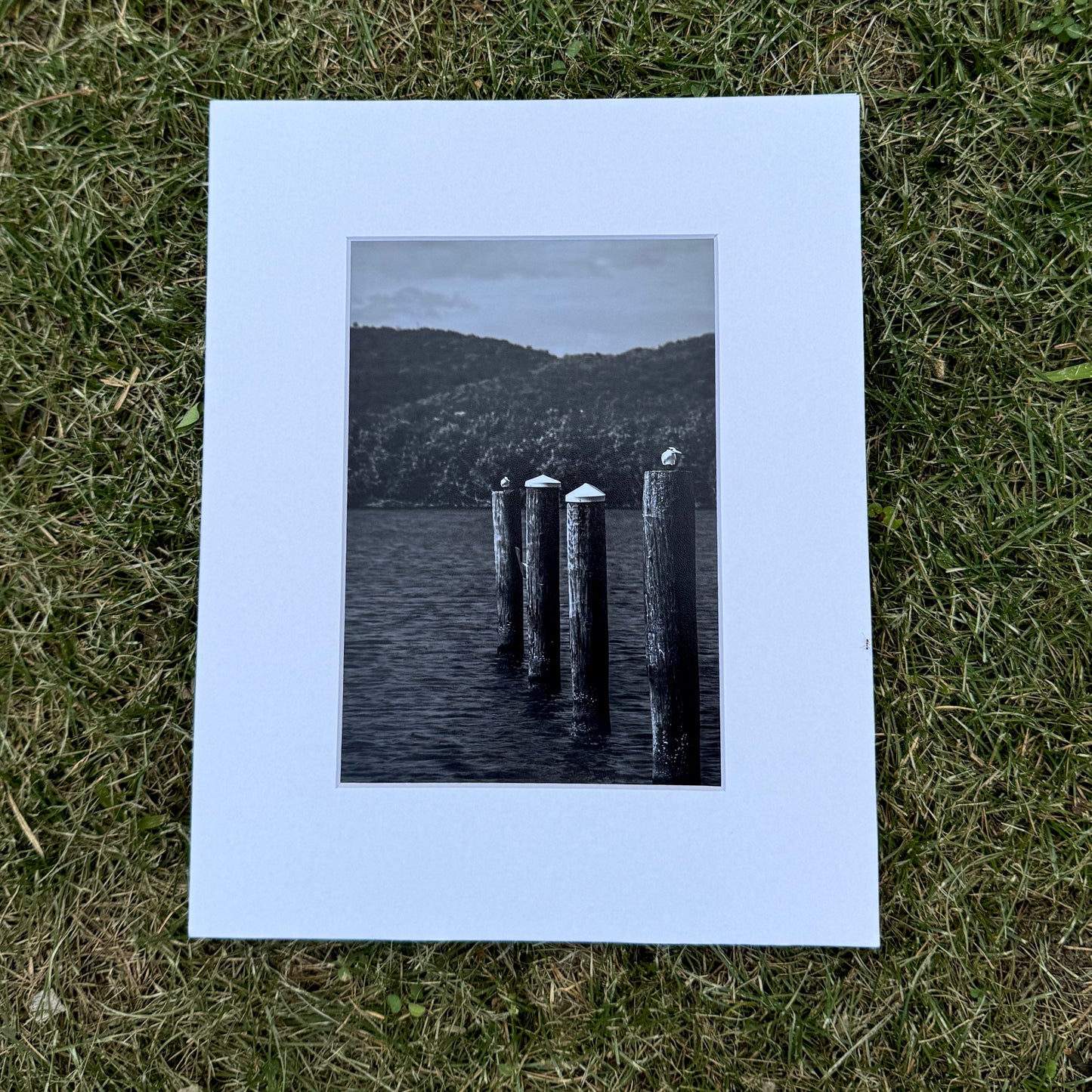 Matted black and white photograph of a dock on water, lying on grass.