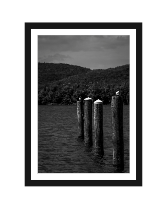 Ave Charrán Real Black & White Photography Print 5x7