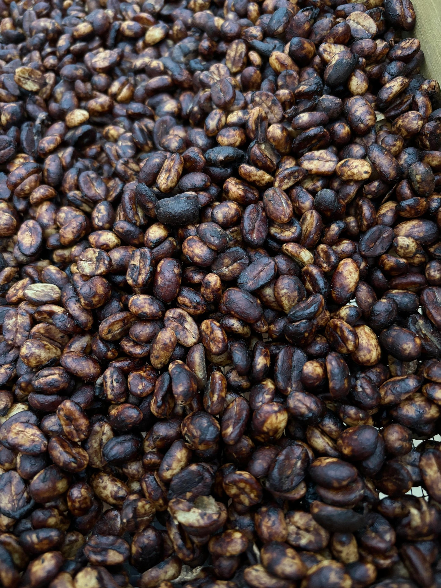 Café Hacienda La Guadalupe (Don Reyes)